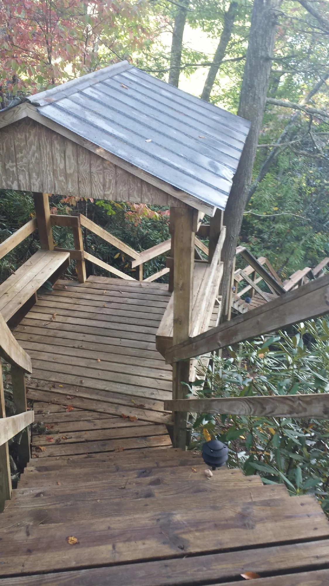 Metal roofed shelter over wooden steps on a wooded walkway — Skylight Repair & Installation work by our crew in Burley