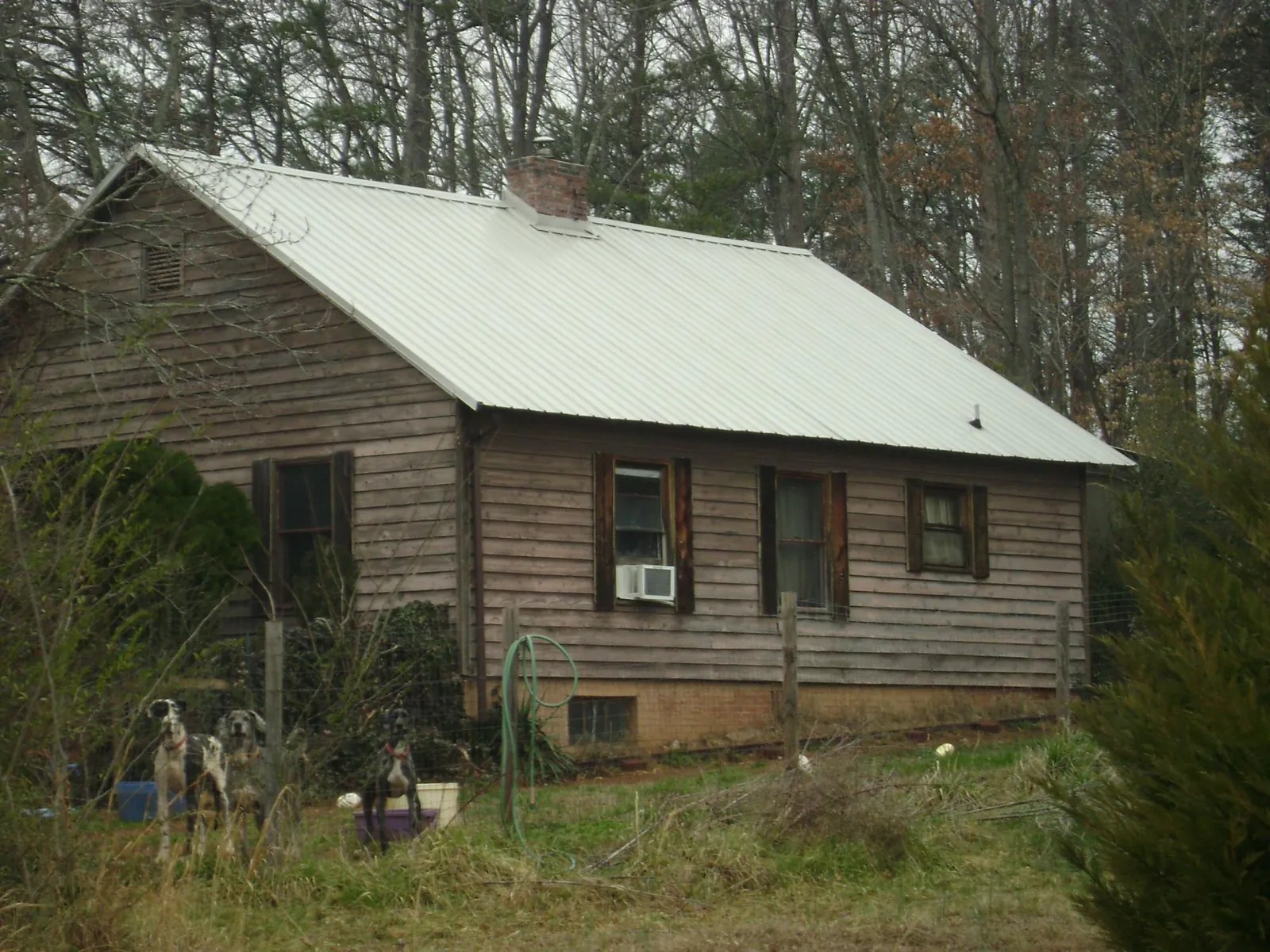 White metal roof on an old wood sided farmhouse, from a Asphalt Shingle Roof Repair job in Burley